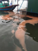 Lại xuất hiện vệt nước đỏ bất thường ở cảng Vũng Áng