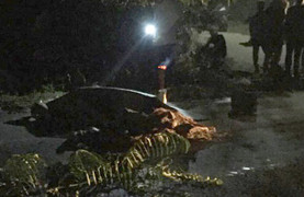 Người đàn ông chết lõa thể với vết rách ở ngực trên quốc lộ