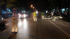 Cây xanh bật gốc, đè trúng một phụ nữ đi đường ở Nghệ An