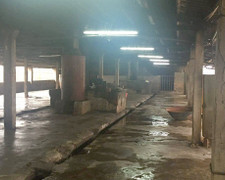 Mâu thuẫn trong lúc mổ lợn, vung dao đâm chết người