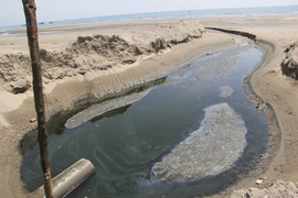 Hơn 30 hồ nuôi tôm xả nước thải hôi thối, đen kịt chạy thẳng ra biển Hà Tĩnh