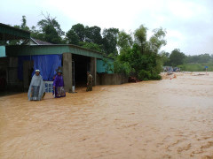 Mưa lũ càn quét Nghệ An: 4 người chết và mất tích