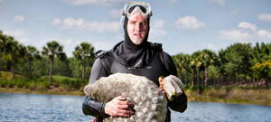 Lặn tìm bóng golf - nghề thú vị và kỳ dị bậc nhất thế giới