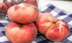 Đào ngoại, hình thức lạ mắt ồ ạt về Việt Nam