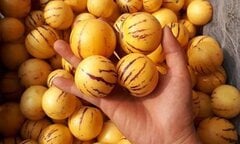 Dân Việt tranh nhau mua quả lạ nhập khẩu từ Trung Quốc