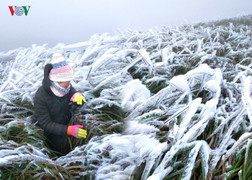 Ảnh: Băng tuyết phủ trắng xóa đường biên giới Bình Liêu – Đình Lập