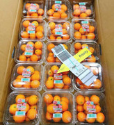 Quất Nhật gần 2 triệu đồng/kg, dân giàu Việt mua về làm mứt Tết đãi khách