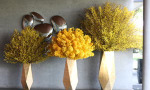 Mai Mỹ giá vài chục triệu đồng một bình chưng Tết