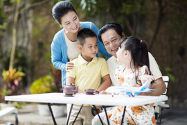 Linh chi đỏ và 10 thảo dược quý: Bí quyết ăn ngon, ngủ sâu