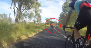Video: Kangaroo xuất hiện đột ngột, đá văng người phụ nữ đang đạp xe