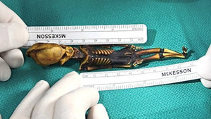 Hoàn tất giải mã bí ẩn xung quanh xác ướp ‘người ngoài hành tinh’