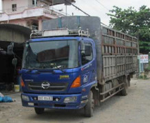 Cán chết cụ bà, tài xế rồ ga chạy trốn