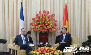 Tổng thống Pháp hội kiến Bí thư Đinh La Thăng