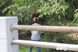 Bất chấp mức phạt 3 triệu đồng, nhiều người vẫn thi nhau tiểu bậy