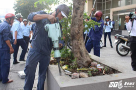 Ảnh: Bồn cây Văn phòng Bộ Công thương lấn chiếm vỉa hè bị đập bỏ