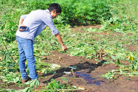 Nhân chứng kể lại phút hãi hùng nữ sinh 17 tuổi bị bạn trai bắn chết