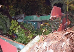 Cây cổ thụ đè sập 4 nhà dân trong đêm, 2 người mắc kẹt