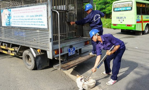 Nhân viên bị đe doạ, hành hung khi bắt chó thả rông ở TP.HCM