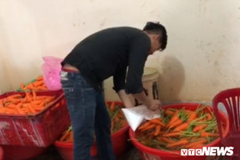 Bắt quả tang 4 cơ sở dùng hóa chất tẩy trắng 6,3 tấn củ cải ở Sài Gòn