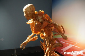 Triển lãm mô hình xác người, thai nhi gây tranh cãi ở TP.HCM