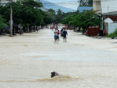 Lũ đang dâng rất cao tại Ninh Thuận, Khánh Hòa