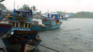 TP.HCM triển khai phòng chống bão số 9 thế nào?