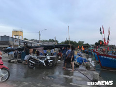 Hơn 4.000 người ở TP.HCM sẽ sơ tán, tránh bão số 9