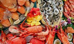 30% dân số dị ứng thực phẩm: Không phải chuyện đùa