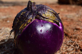 Cẩn trọng những tai nạn nguy hiểm khi sex