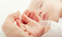 Thử nghiệm thành công tử cung nhân tạo dành cho trẻ sinh non