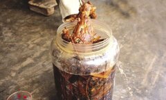 Dân đổ xô trồng cây thuốc xổ vì tưởng là... thuốc bổ