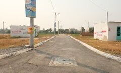 'Cơn sốt' đất nền TP.HCM: Cò đất, môi giới hoành hành, công an vào cuộc