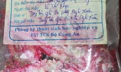 Đã tìm ra 'thủ phạm' khiến cá kho đổi màu đỏ ở Hà Tĩnh