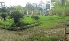 Ngậm đắng nuốt cay vì mua nhà với tiện ích chỉ có... trên giấy