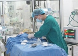 Hải Phòng: Bé trai 3 tuổi qua đời nghi do bị chó dại trong nhà cắn