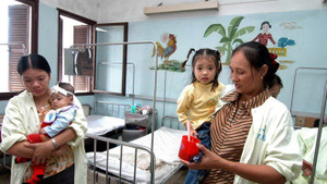Hà Nội: 2.000 người mắc sốt xuất huyết, chuyên gia cảnh báo bùng phát dịch tăng cao