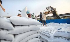 Vinafood 2 sai phạm hàng trăm tỷ đồng