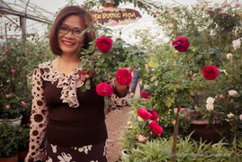 Chuyện chưa kể về người phụ nữ có bộ sưu tập 500 loài hoa hồng