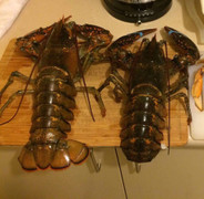 Ăn chơi kiểu đại gia Việt: Tranh nhau mua tôm hùm khổng lồ giá chục triệu/con