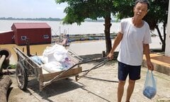 Phú Thọ: Đau xót cá 'tiến vua' dùng để... ủ phân và nuôi lợn