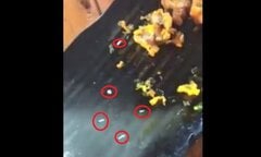 Dòi bò lổn ngổn trong đĩa sụn gà: Phạt nhà hàng 4 triệu đồng