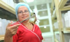 Nhà sản xuất Cuba nói gì về sản phẩm Vidatox gây tranh cãi ở Việt Nam?