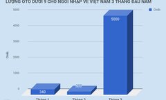 Ôtô về Việt Nam tăng vọt, VAMA vẫn thiết tha xin ‘cởi trói’