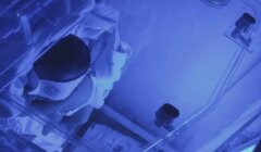 Hoảng hốt khi trẻ sơ sinh được rao bán trên mạng xã hội với giá 210 triệu đồng