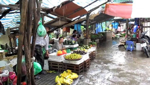 Phòng tránh nguy cơ ngộ độc thực phẩm, nhiễm dịch bệnh nguy hiểm trong mùa bão, lũ