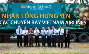 Vietnam Airlines đưa đặc sản nhãn lồng Hưng Yên lên các chuyến bay
