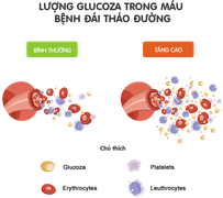 Chế độ ăn uống và bệnh tiểu đường