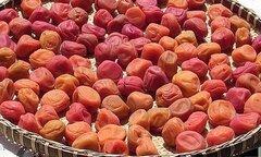 Mùa mận về, tràn trề các món ăn 'siêu' hấp dẫn từ mận