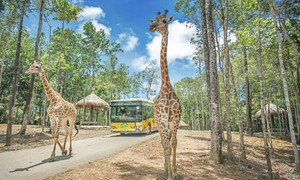 Hé lộ 'bom tấn' thứ 2 – công viên vui chơi khủng tại Gia Lâm của đại gia Vingroup