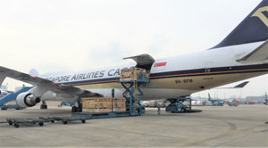 Vinamilk tiếp tục nhập hơn 200 cô bò hữu cơ về Việt Nam, khẳng định vai trò tiên phong trong xu hướng organic cao cấp